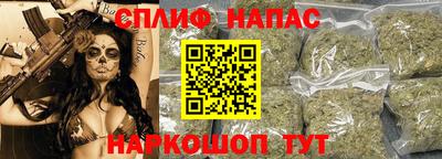 индика Апшеронск